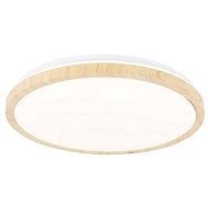 LED Ceiling Light GANDAVA LED/24W/230V - Ceiling Light