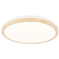 LED Ceiling Light GANDAVA LED/18W/230V - Ceiling Light