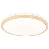LED Ceiling Light GANDAVA LED/36W/230V - Ceiling Light