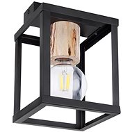 Globo - Ceiling Light 1xE27/60W/230V - Ceiling Light