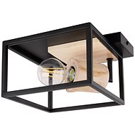 Globo - Ceiling Light 1xE27/60W/230V - Ceiling Light