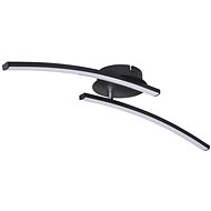 Globo - LED Ceiling Light 2xLED/6W/230V - Ceiling Light