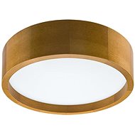LED Ceiling Light LED/35W/230V - Ceiling Light