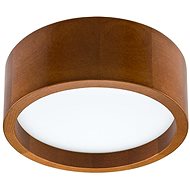 LED Ceiling Light LED/21W/230V - Ceiling Light