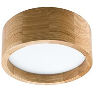 LED Ceiling Light LED/21W/230V - Ceiling Light