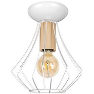 Ceiling Light WILL 1xE27/60W/230V - Ceiling Light