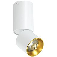 LED Ceiling Spotlight LED/10W/230V - Ceiling Light