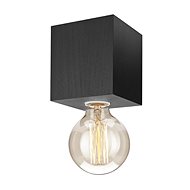 Ceiling Light 1xE27/60W/230V - Ceiling Light