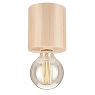 Ceiling Light 1xE27/60W/230V - Ceiling Light
