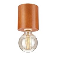 Ceiling Light 1xE27/60W/230V - Ceiling Light
