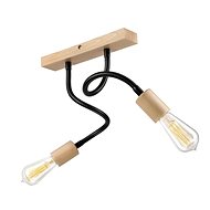 Mounted chandelier CAMERON 2xE27/60W/230V - Chandelier