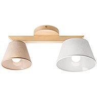 Attached chandelier ANTONIO 2xE14/40W/230V - Chandelier