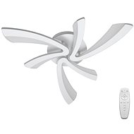 LED Dimmable Ceiling Light FLORANCE 2xLED/30W/230V - Ceiling Light