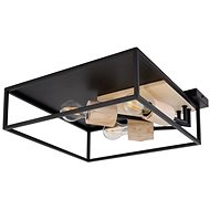 Globo - Ceiling Light 3xE27/60W/230V - Ceiling Light
