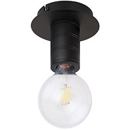 Globo - Ceiling Light 1xE27/60W/230V - Ceiling Light