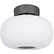 Globo - LED Ceiling Light LED/12W/230V - Ceiling Light