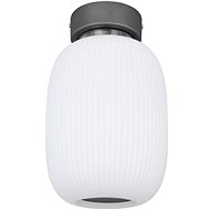 Globo - LED Ceiling Light LED/21W/230V - Ceiling Light