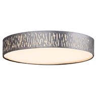 Globo - LED Ceiling Light LED/24W/230V - Ceiling Light