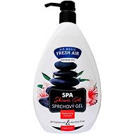 Dochema Fresh Air Spa, 1 l - Shower Gel