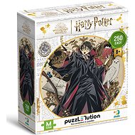 DODO Puzzle Harry Potter: The Young Wizard 250 pieces - Jigsaw Puzzle
