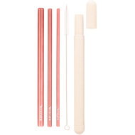 ECOCARE Eco-friendly metal straws travel set Pink 3 pcs - Straw