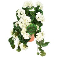 BerryHome Muscat overhanging white in ceramic pot 50 × 35 cm - Artificial Flower