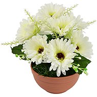 DOMMIO Gerberas cream 7 flowers in terracotta bowl, diameter 22/24 cm - Artificial Flower