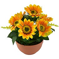 DOMMIO Sunflowers 7 flowers in terracotta bowl, diameter 24/26 cm - Artificial Flower
