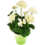 DOMMIO Muscat in ceramic pot 40 × 25 cm cream - Artificial Flower
