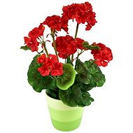 DOMMIO Muscat in ceramic pot 40 × 25 cm red - Artificial Flower