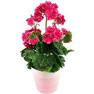 DOMMIO Muscat in ceramic pot 40 × 25 cm pink - Artificial Flower