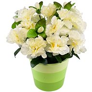 DOMMIO Azalea in ceramic pot 25 × 25 cm cream - Artificial Flower
