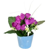 DOMMIO Crocus purple in ceramic pot 24 × 27 cm - Artificial Flower