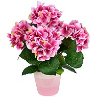 DOMMIO Hydrangea pink 5 flowers in ceramic pot 40 × 30 cm - Artificial Flower