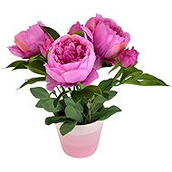 BerryHome Peonies purple 6 flowers in ceramic pot 36 × 30 cm - Artificial Flower
