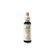 Dr. Bach Original Beech 20 ml - Dietary Supplement