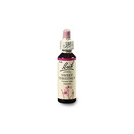 Dr. Bach Original Sweet Chestnut 20 ml - Dietary Supplement