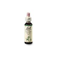 Dr. Bach Original Walnut 20 ml - Dietary Supplement