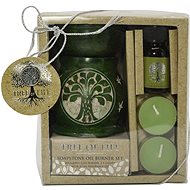 Empt Tree of Life Aromalampa - scented set evergreen forest - Aroma Lamp