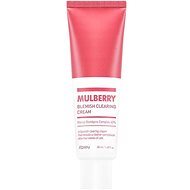 A'PIEU Mulberry Blemish Clearing Cream - Face Cream