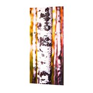 Birch Coat Hanger, 90cm - Coat Hanger
