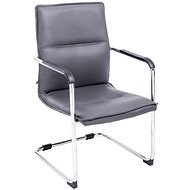Conference chair with armrests Hudson gray - Conference Chair 