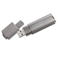 SanDisk Cruzer Professional 8GB - Flash Drive