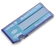 SanDisk Memory Stick PRO 256MB - Memory Card