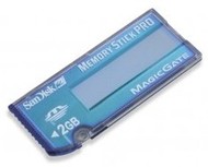 Sony Memory Stick PRO 2GB - Memory Card