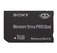 Paměťová karta Sony Memory Stick PRO DUO 1GB  - Memory Card