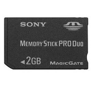 Sony Memory Stick PRO DUO 2GB  - Memory Card