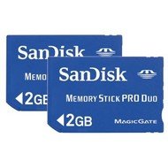 SanDisk Memory Stick PRO DUO 2GB - Memory Card