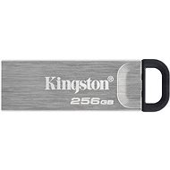 Kingston DataTraveler Kyson 256GB - Flash Drive