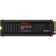 SANDISK OPTIMUS GX PRO 8100 1TB with heatsink - SSD